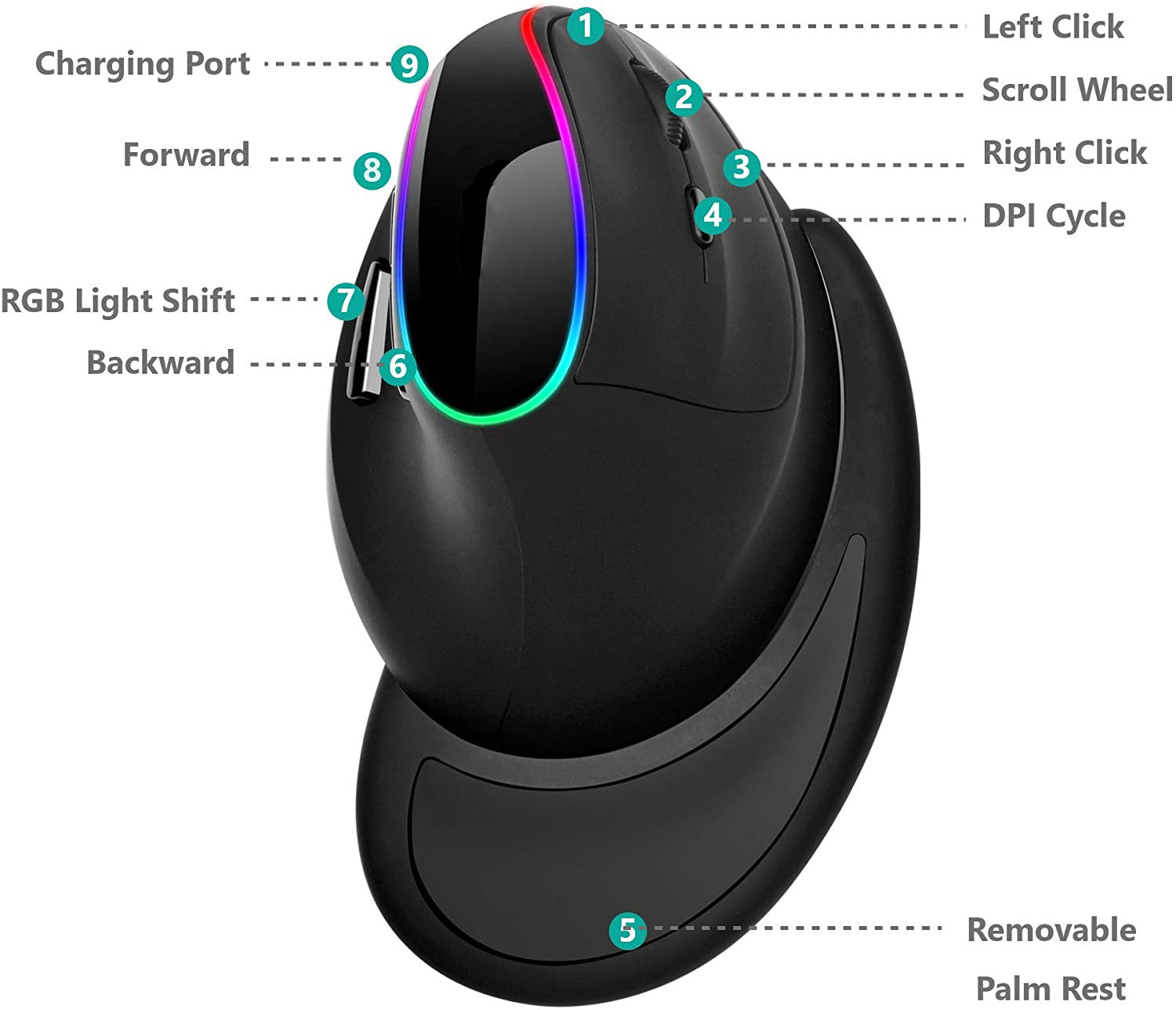 Image of Ergonomic RGB Bluetooth Vertical Mouse - Working Setup