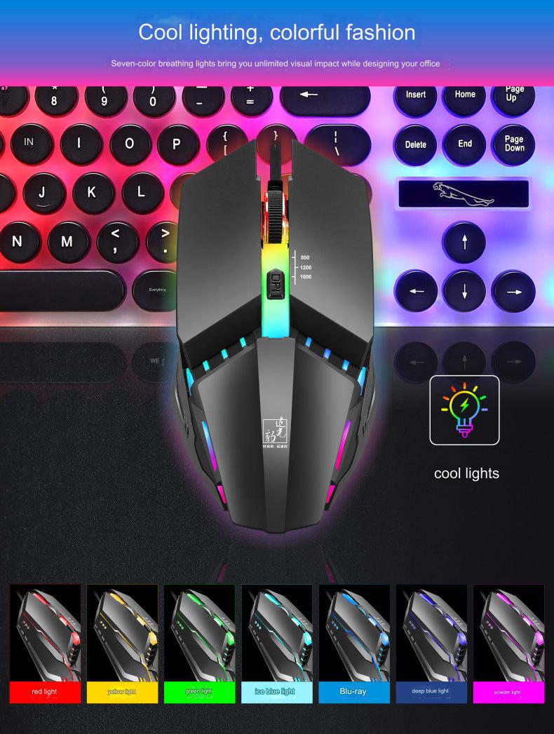Ergonomic wired RGB gaming mouse with high precision