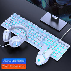 EWEADN GX330 in White Ice Blue colour