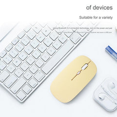 Silent operation mouse ideal for office use