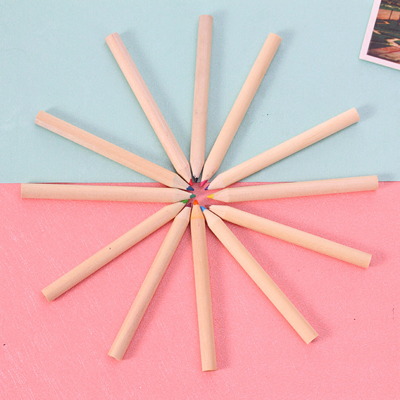 Vibrant colours of Eco-Friendly Colored Pencils