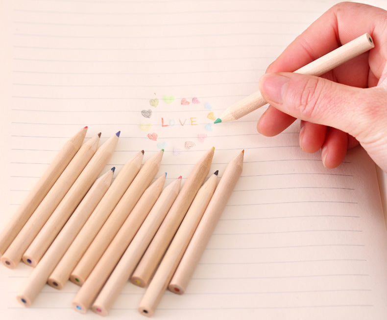Close-up of Eco-Friendly Colored Pencils in Tube