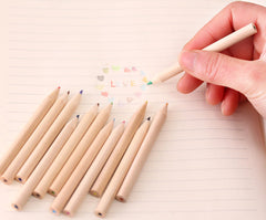Close-up of Eco-Friendly Colored Pencils in Tube