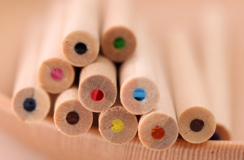 Set of Eco-Friendly Colored Pencils on a desk