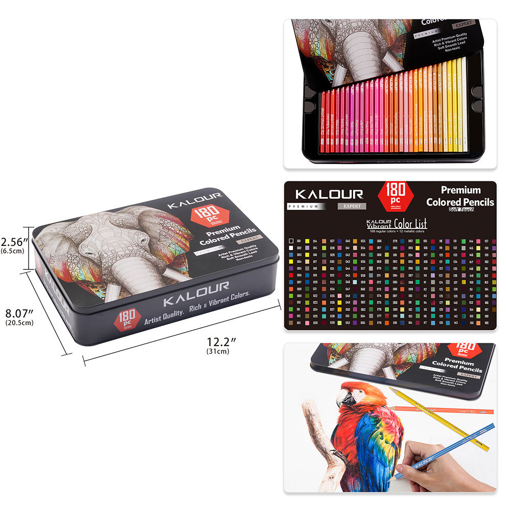 Hands holding premium coloured pencils for drawing
