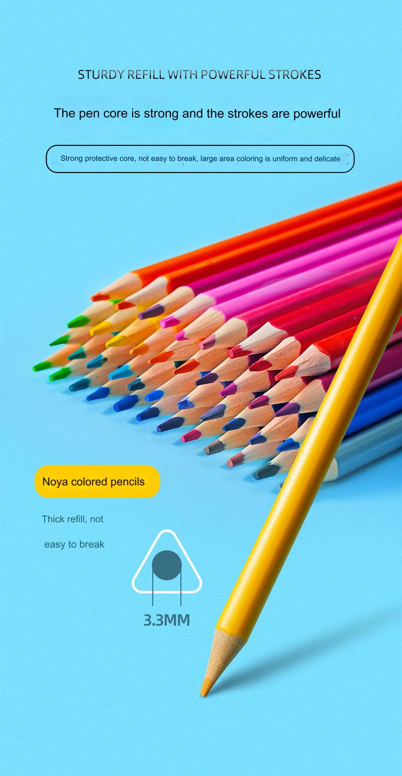 Vibrant coloured pencils for creative projects