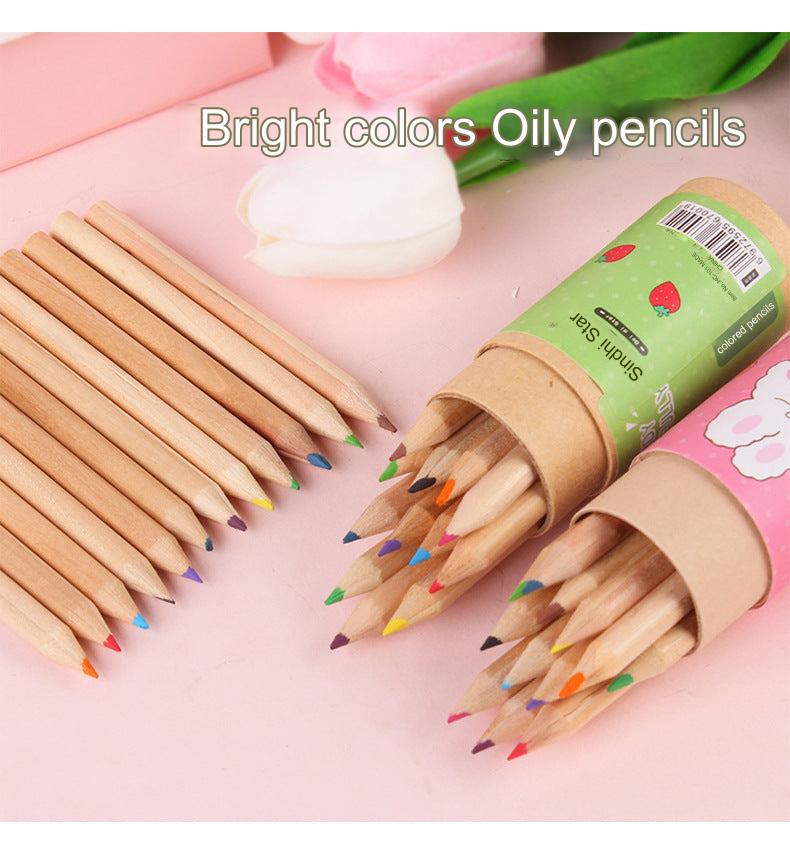 coloured pencils organised in a bucket