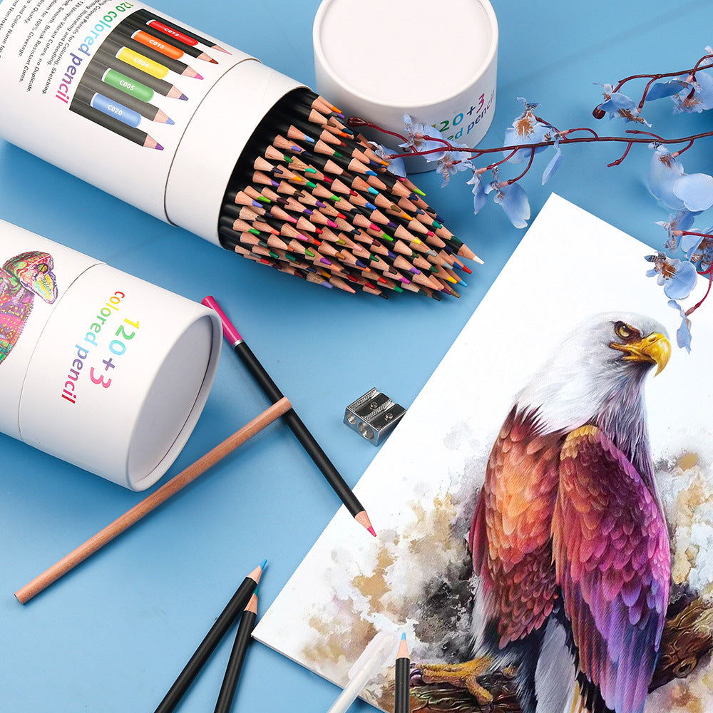 Artistic blending using KALOUR coloured pencils