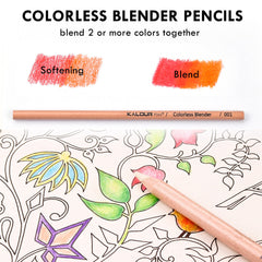 Detail image of drawing with KALOUR pencils