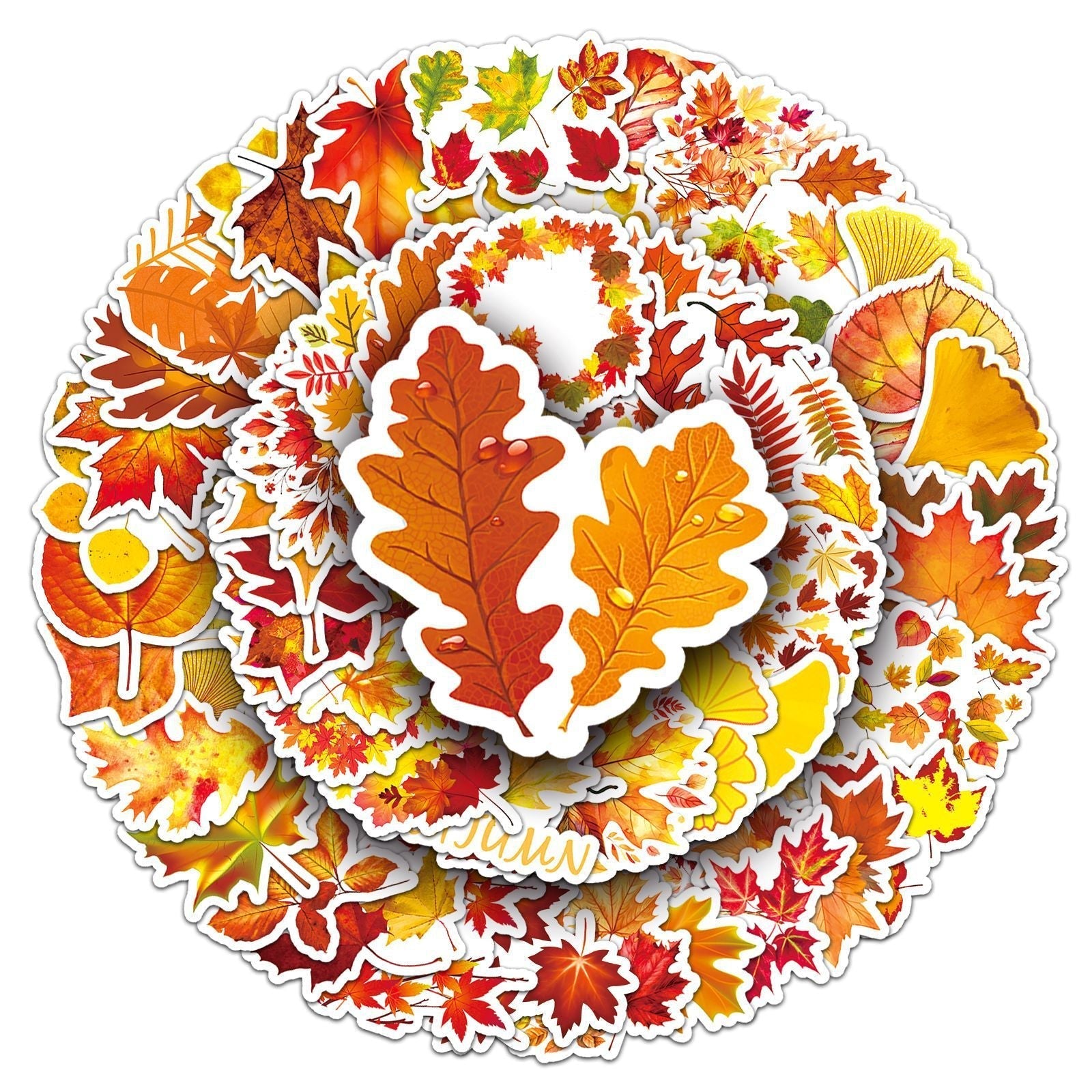stylish decoration with autumn sticker