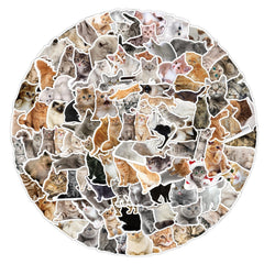Adorable cat sticker design 1