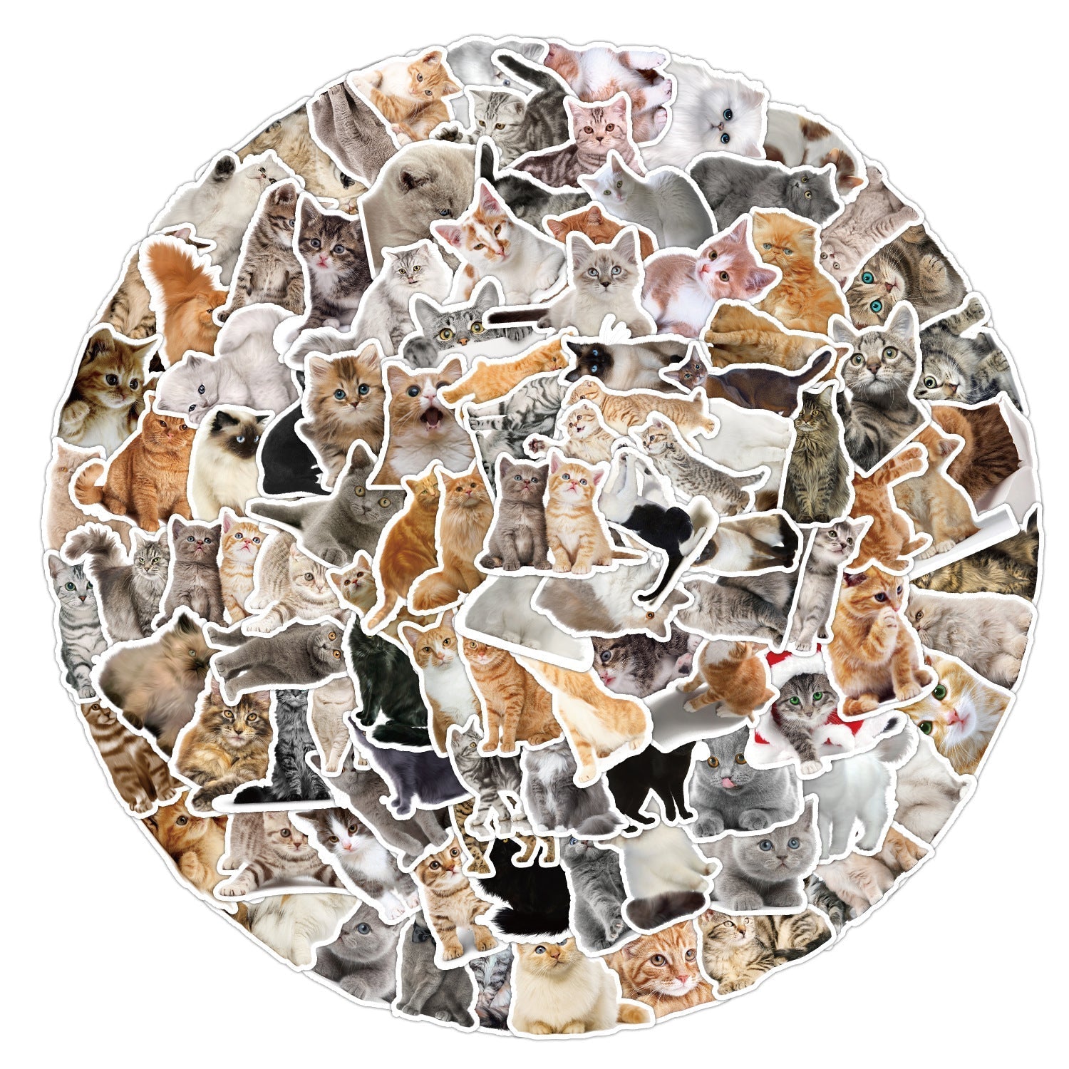 Adorable cat sticker design 1