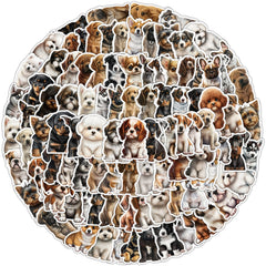 Waterproof cat sticker collection 4