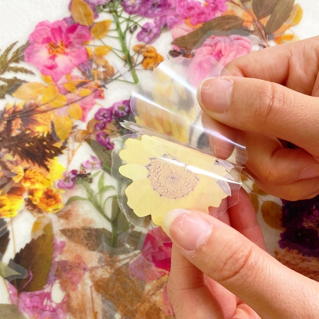 Transparent PET stickers for arts and crafts