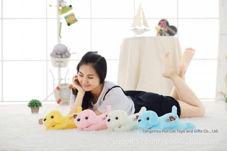 Cuddly glowing dolphin plush toy light feature