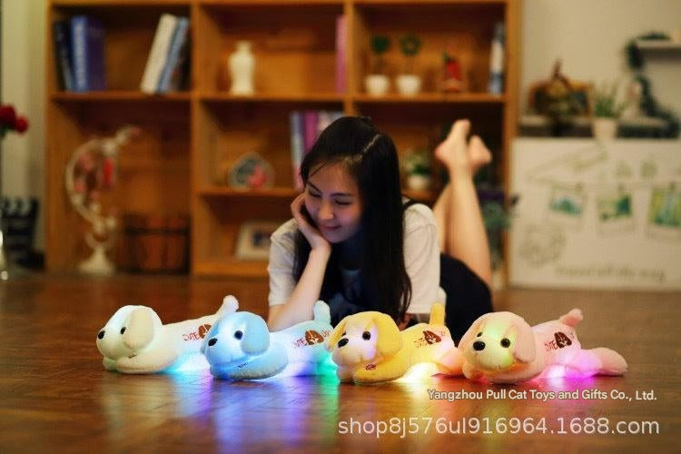 Dolphin stuffed animal with lights