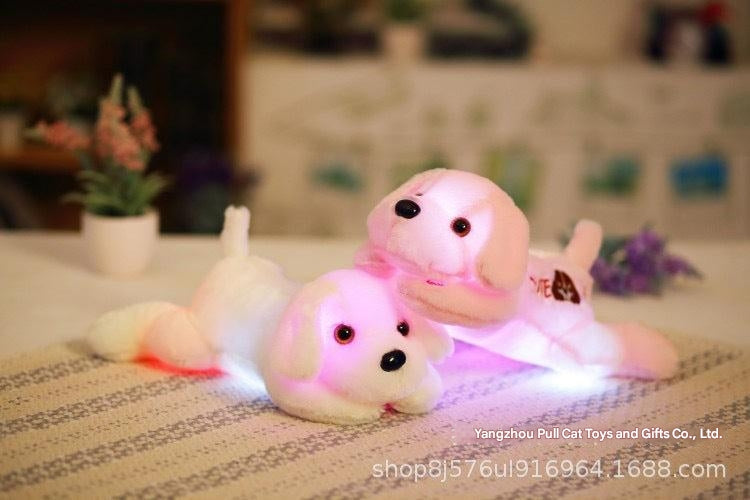 Cuddly dolphin plush toy in a gift box