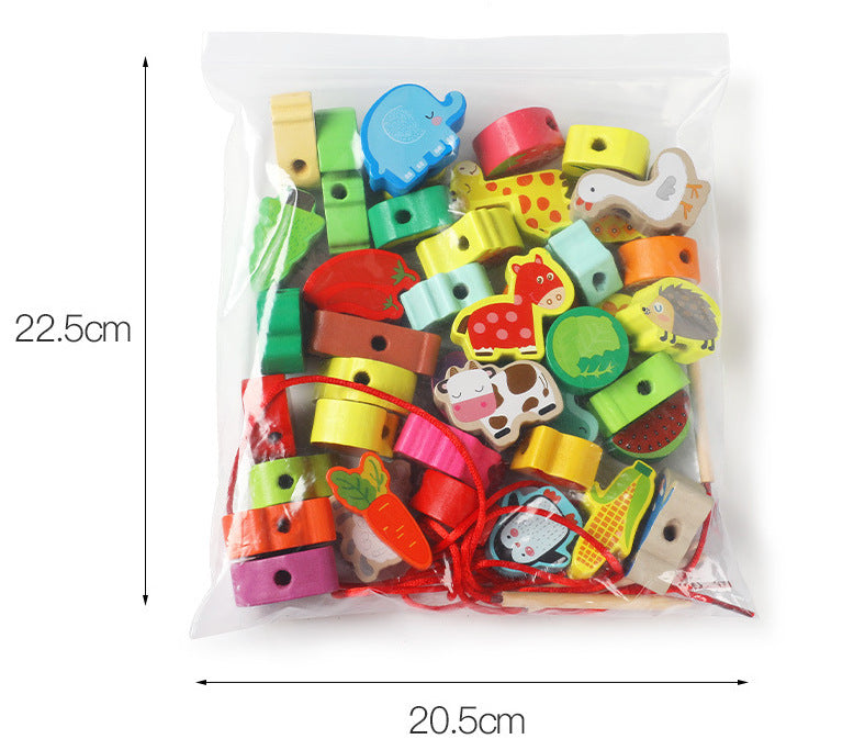 Educational toy components displayed