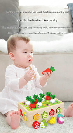 Kids Educational Farm & Orchard Shape Matching Blocks Toy Set image 10