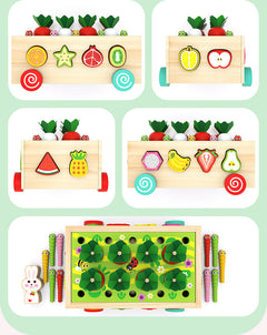 Kids Educational Farm & Orchard Shape Matching Blocks Toy Set image 2