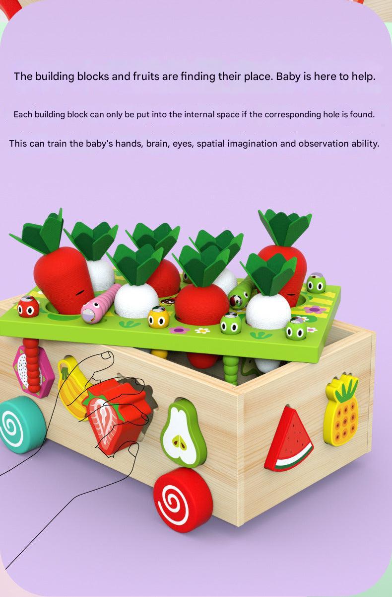 Kids Educational Farm & Orchard Shape Matching Blocks Toy Set image 4
