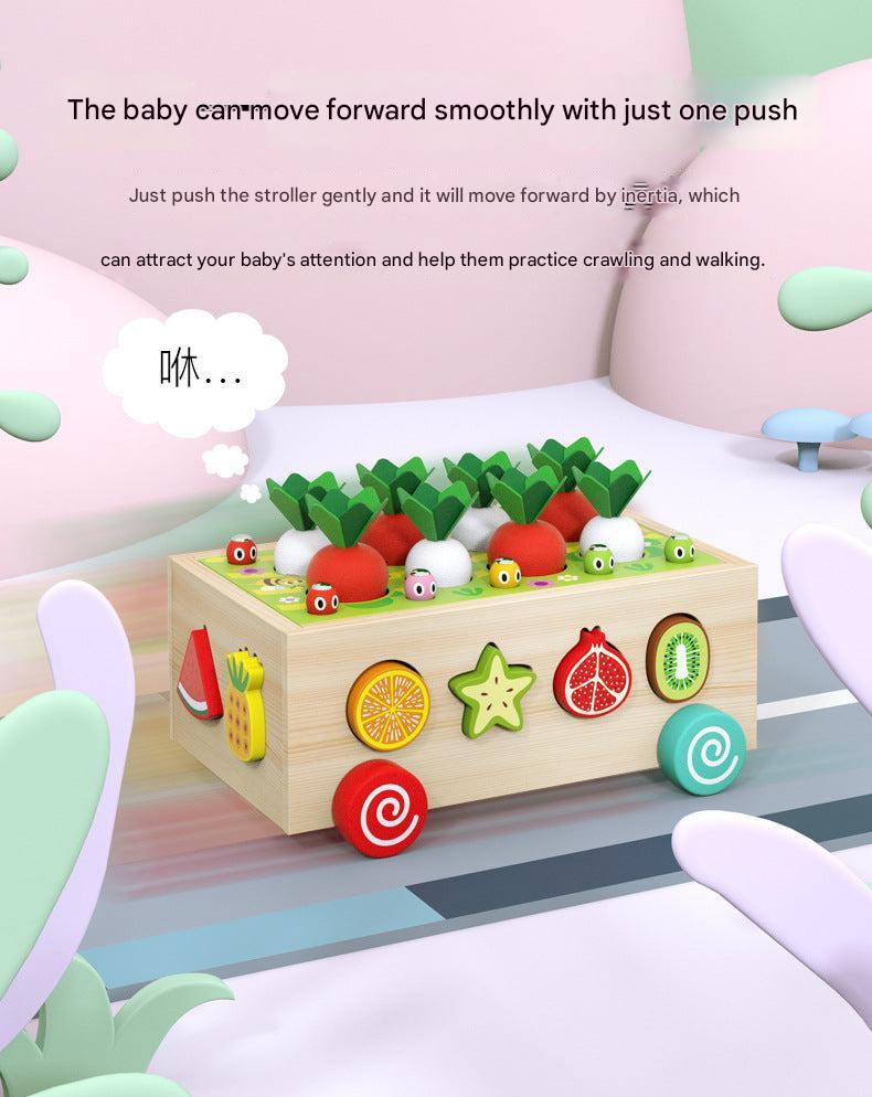 Kids Educational Farm & Orchard Shape Matching Blocks Toy Set image 5