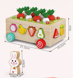 Kids Educational Farm & Orchard Shape Matching Blocks Toy Set image 8