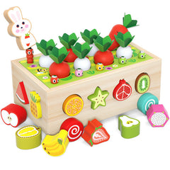 Kids Educational Farm & Orchard Shape Matching Blocks Toy Set image 4