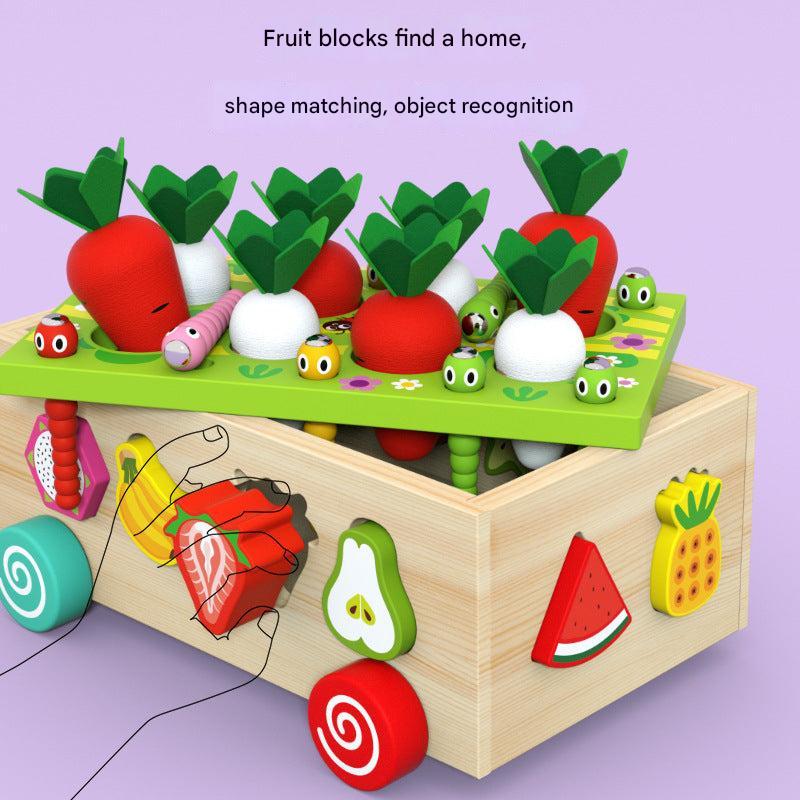 Kids Educational Farm & Orchard Shape Matching Blocks Toy Set image 5