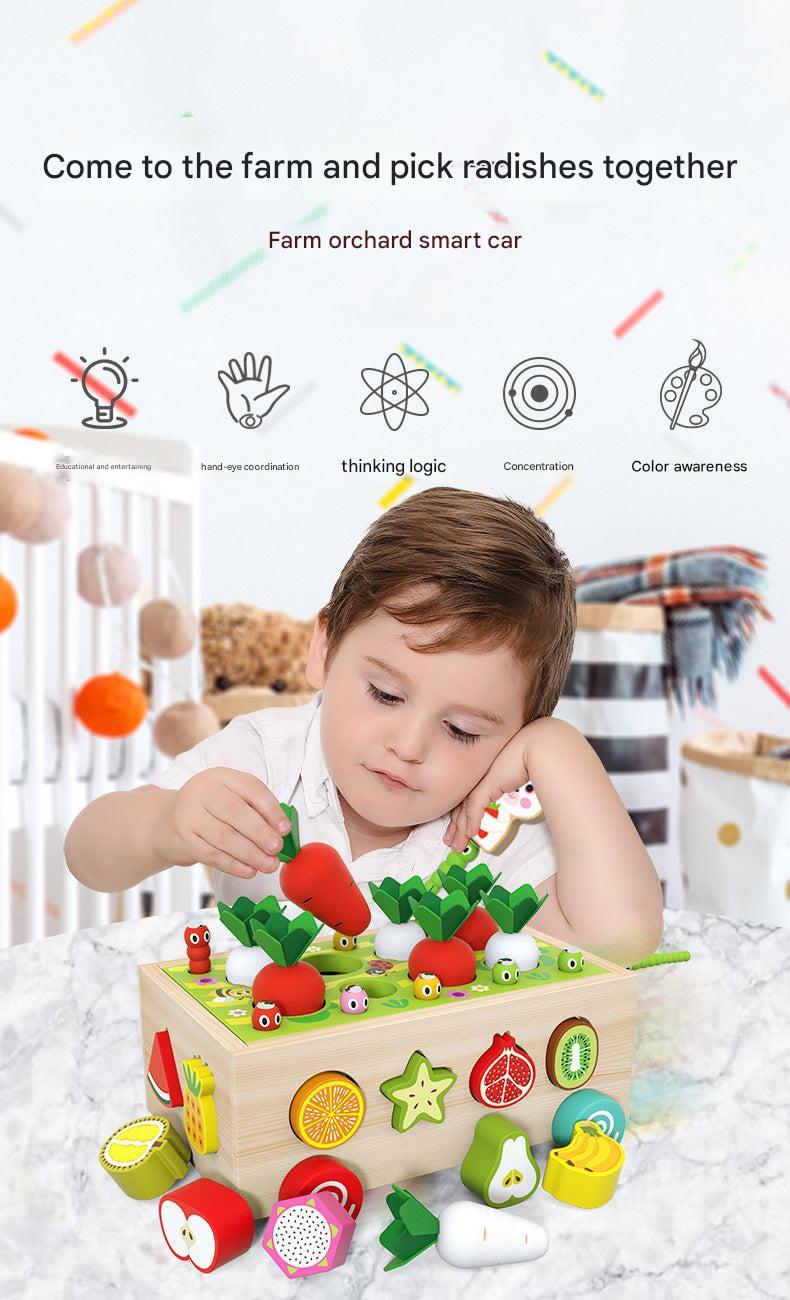 Kids Educational Farm & Orchard Shape Matching Blocks Toy Set image 7