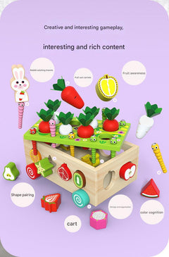 Kids Educational Farm & Orchard Shape Matching Blocks Toy Set image 9