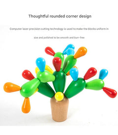 Cactus shape recognition with puzzle blocks