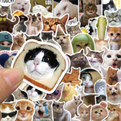 Creative cat art stickers display - image 6