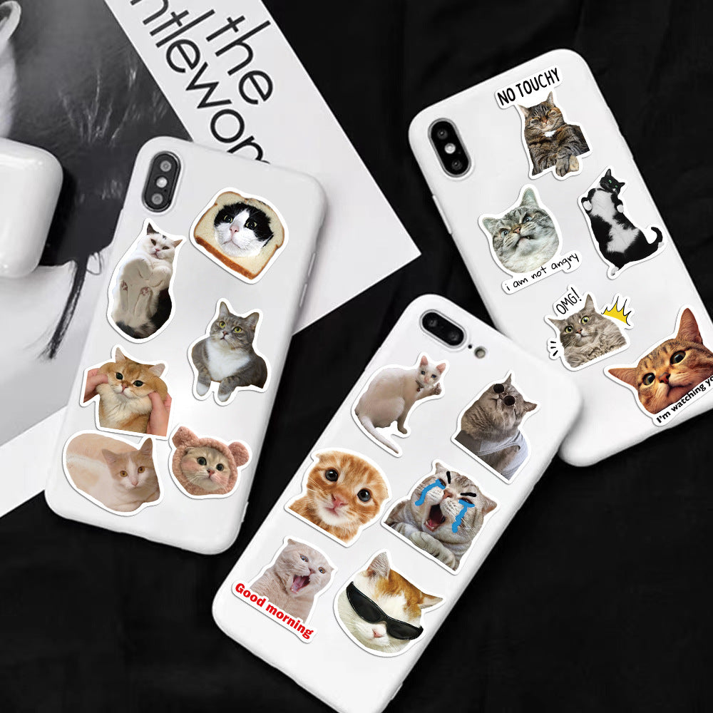 Unique funny cat designs for stickers - image 8