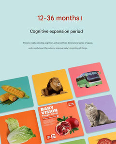 Visual development stimulation card for infants 4