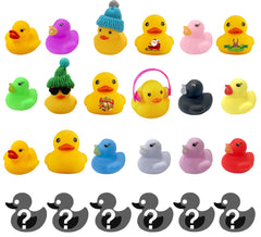 Excitement of discovering new ducks daily