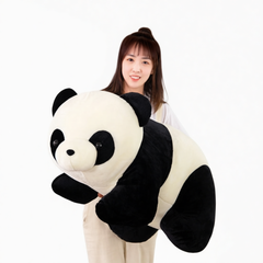 product 10381111165261 first variant