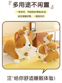 Close-up of Corgi plush showing lifelike expression