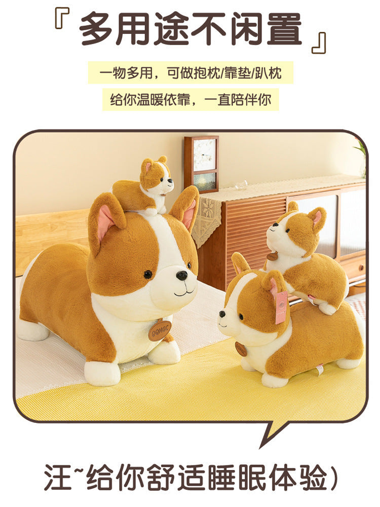 Close-up of Corgi plush showing lifelike expression
