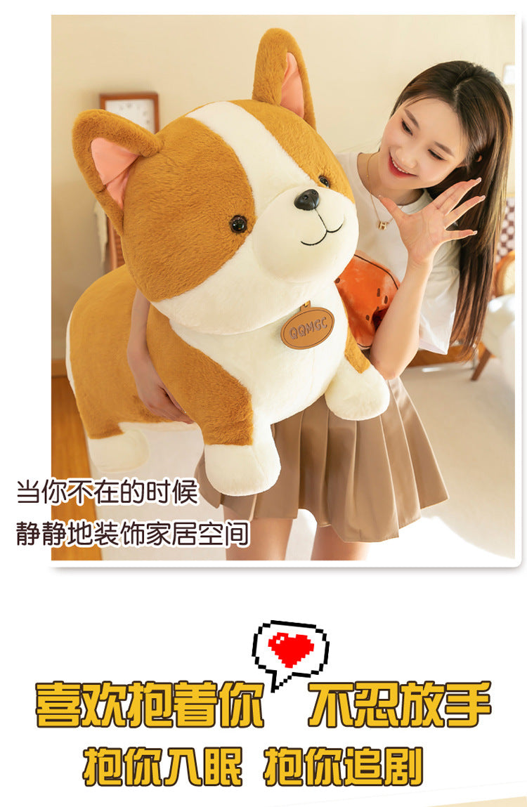 Adorable multi-colour Corgi stuffed animal side view