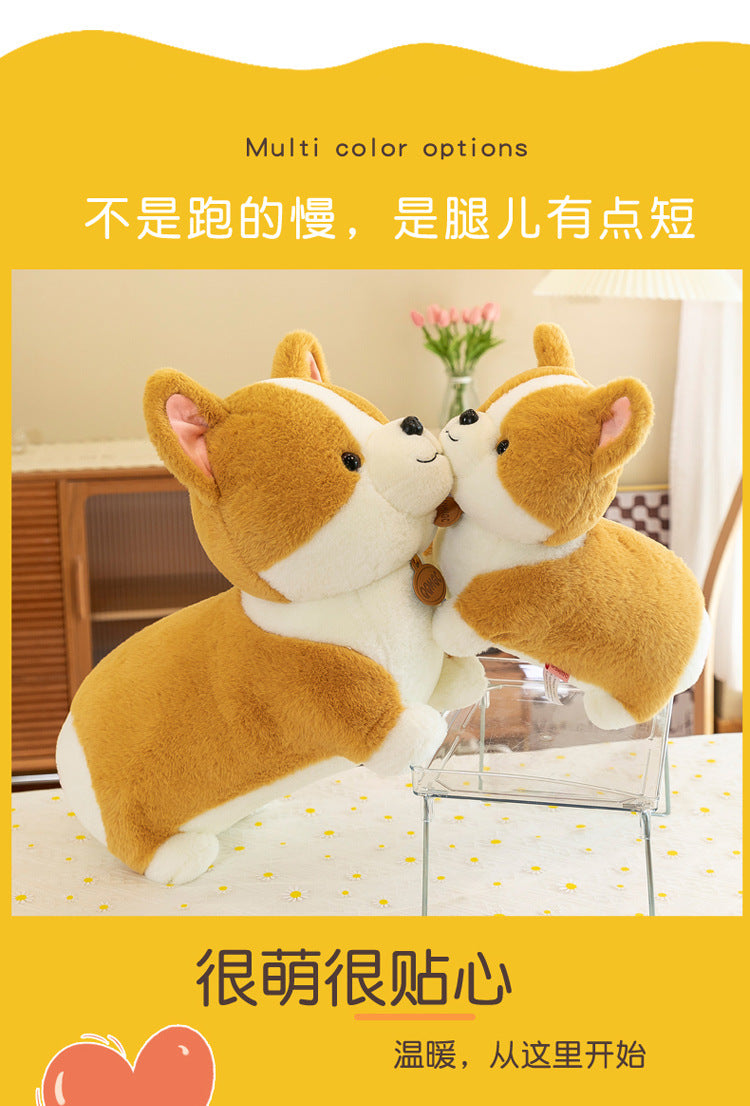 Close-up of Corgi plush showing lifelike expression