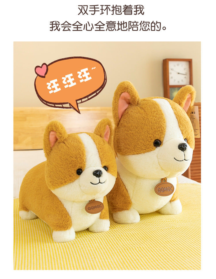 Another angle of the Corgi plush toy on display