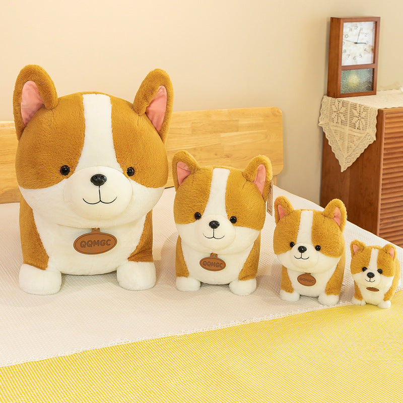 Another angle of the Corgi plush toy on display