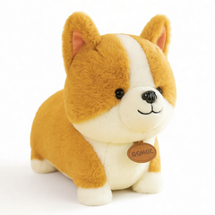 product 10381115359565 first variant