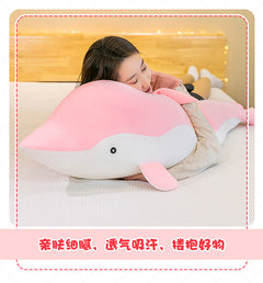 Cuddly dolphin plush toy suitable for kids