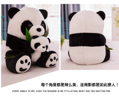 Panda stuffed animal isolated