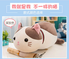Cuddly Sweet Cat Plush Toy front view