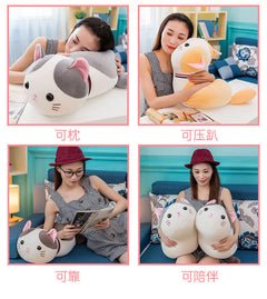 Pastel shaded kittens plush toys