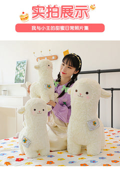 collectible alpaca plush in store