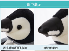 Different angles of Penguin Stuffed Toy